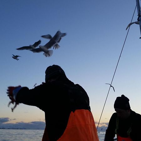 Koselig Hus Til Leie Pa Stokmarknes I Vesteralen公寓 外观 照片