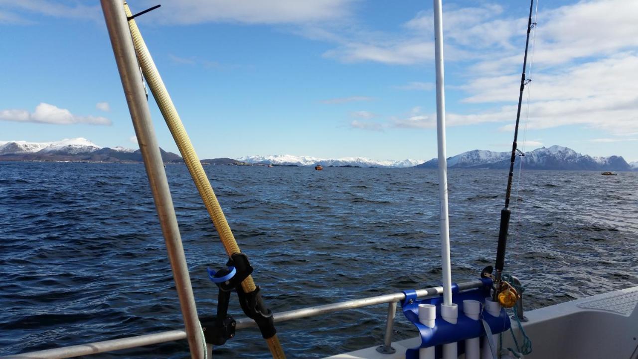Koselig Hus Til Leie Pa Stokmarknes I Vesteralen公寓 外观 照片